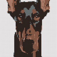 doberman.jpeg