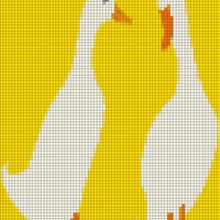 duck 1.jpg
