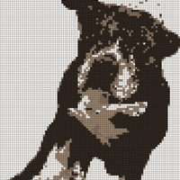 IMG_9546.jpeg