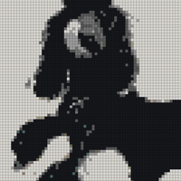 bimini background.png