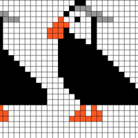 Tufted Puffins