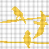 Copy of Birds