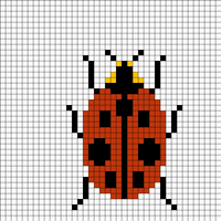 ladybug
