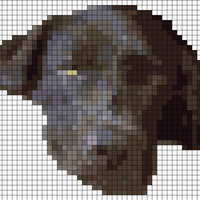 IMG_0968.png