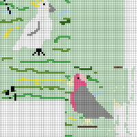 Copy of Cockatoo