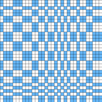 Copy of B&W - trippy check (top)
