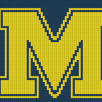 Copy of Michigan Wolverines.jpg