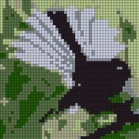 Copy of fantail1.jfif