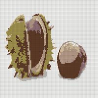 conker in shell