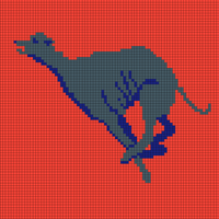 greyhound