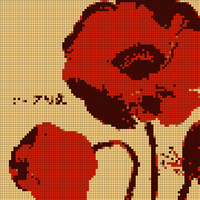 IMG_9215.jpeg