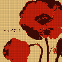 IMG_9215.jpeg