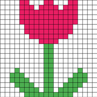 Tulip