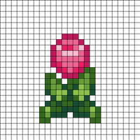 tulip