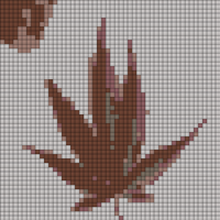 Copy of 1000007677.jpg