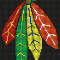 feathers.JPG