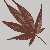 Copy of 1000007676.jpg