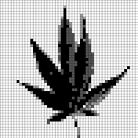 Copy of 1000007677.jpg