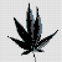 Copy of Copy of 1000007677.jpg