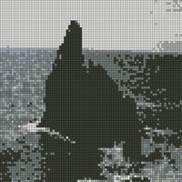 img_29.jpeg