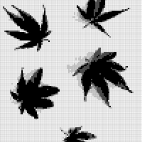 Copy of 1000007678.jpg