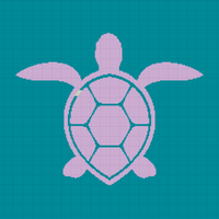 Turtle blanket baby