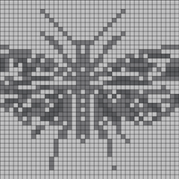20241019_093625.jpg