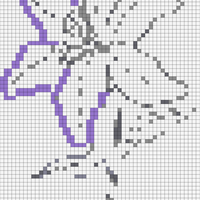 lily flower 51x80