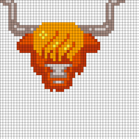 Highland Cow