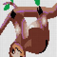 colourtest-sloth-C06