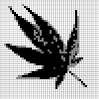 Copy of 1000007676.jpg