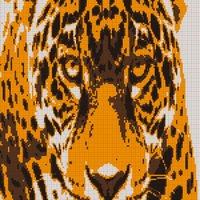 Jaguar.jpg