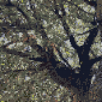Screen Shot 2024-08-20 at 12.15.42 AM.png