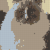 IMG_9938.jpeg