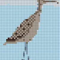 whimbrel-on-beach.jpg