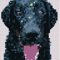 IMG_0848.png