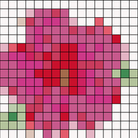 flower diagr cap.jpg