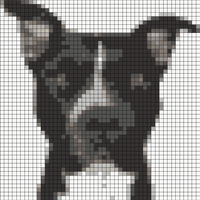 Clipped_image_20240904_075354.png