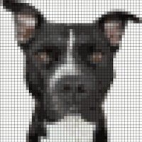 Clipped_image_20240904_075354.png