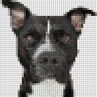 Clipped_image_20240904_075354.png