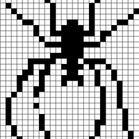 spider