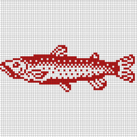 Copy of Fish