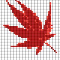 1000007676.jpg