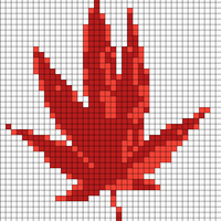 1000007677.jpg