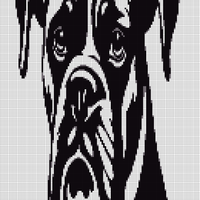 Copy of Boxer.jpg