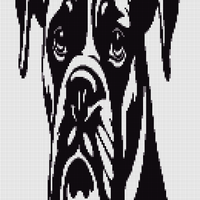 Copy of Copy of Boxer.jpg