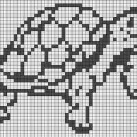 many_turtles.jpg
