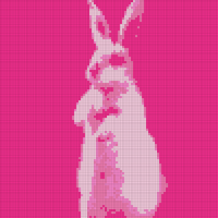bunnyyyyyyy.jpg