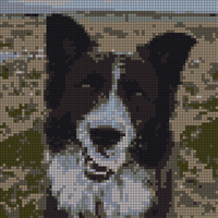 Screenshot 2024-11-01 215206.png