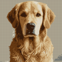 hond.png
